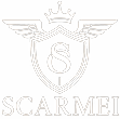 Logo Footer